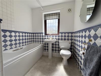 Picture 5